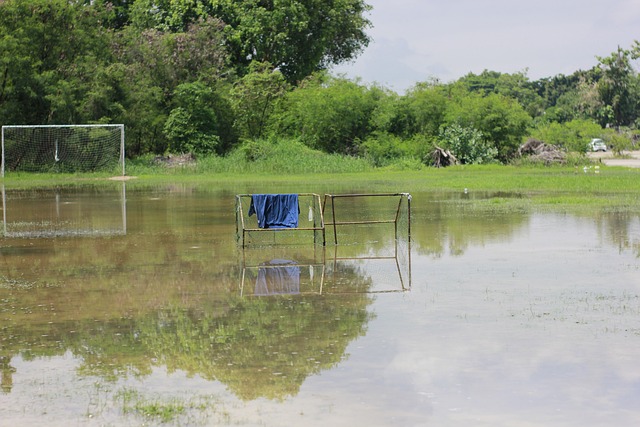 则的合理性 则的合理性