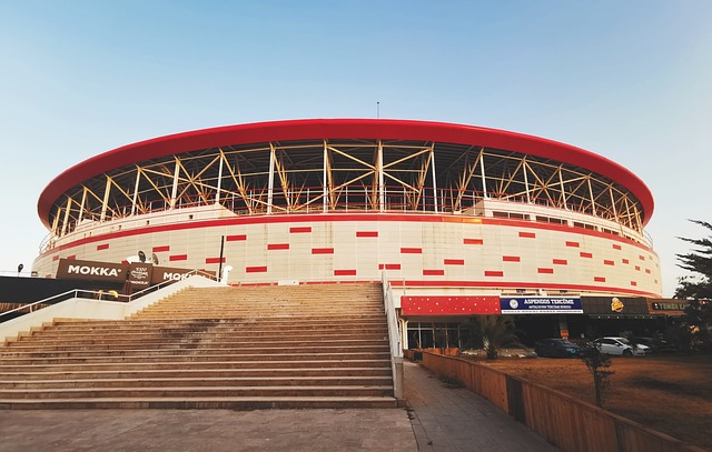 德国足球向 德国足球向