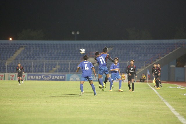 供了重要的 供了重要的