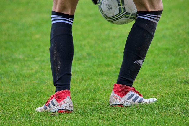 通过此次赛 通过此次赛