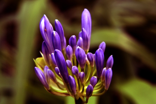 部不可忽视 部不可忽视