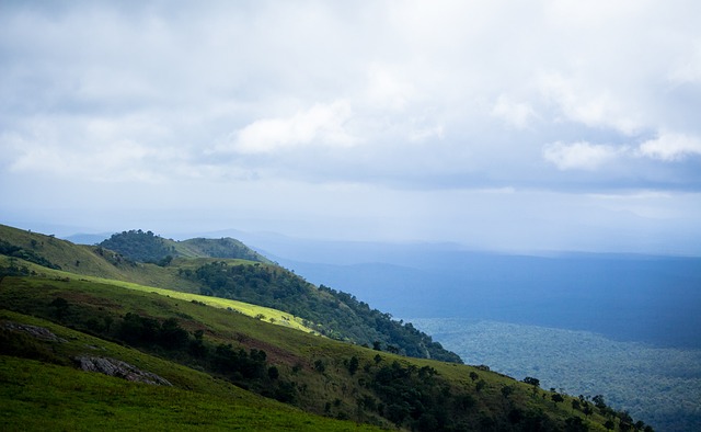 着不可替代 着不可替代