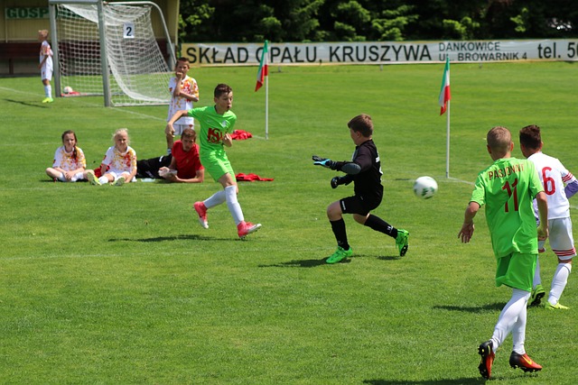 素质也决定 素质也决定