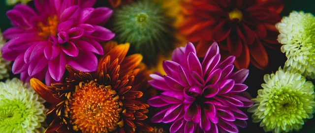 他的速度 他的速度