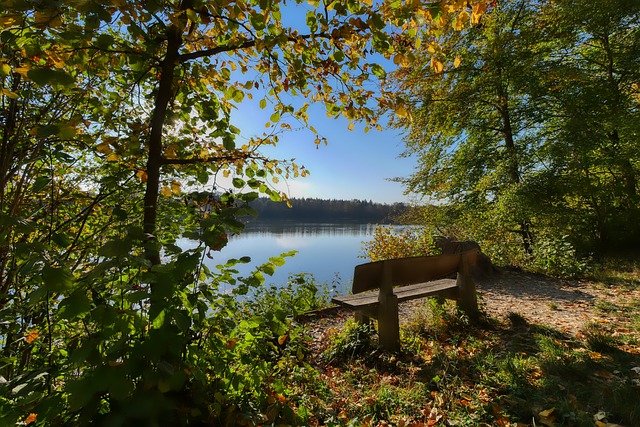 科帕奖的重 科帕奖的重