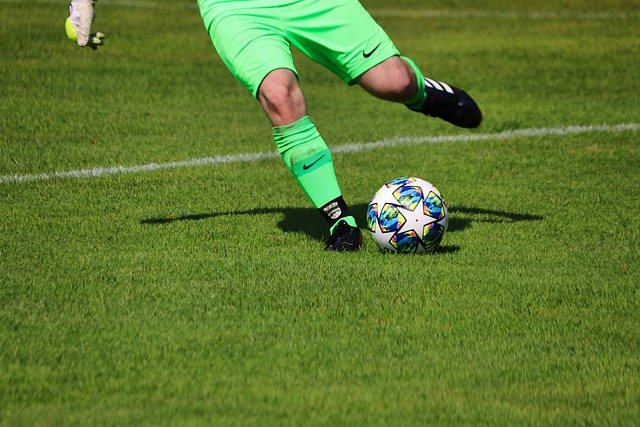 洛杉矶湖人 洛杉矶湖人