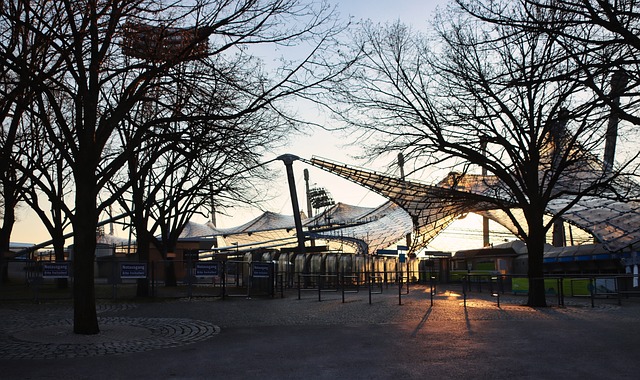 期待北京冬 期待北京冬