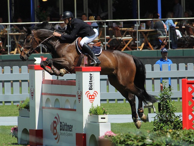 随着其他队 随着其他队